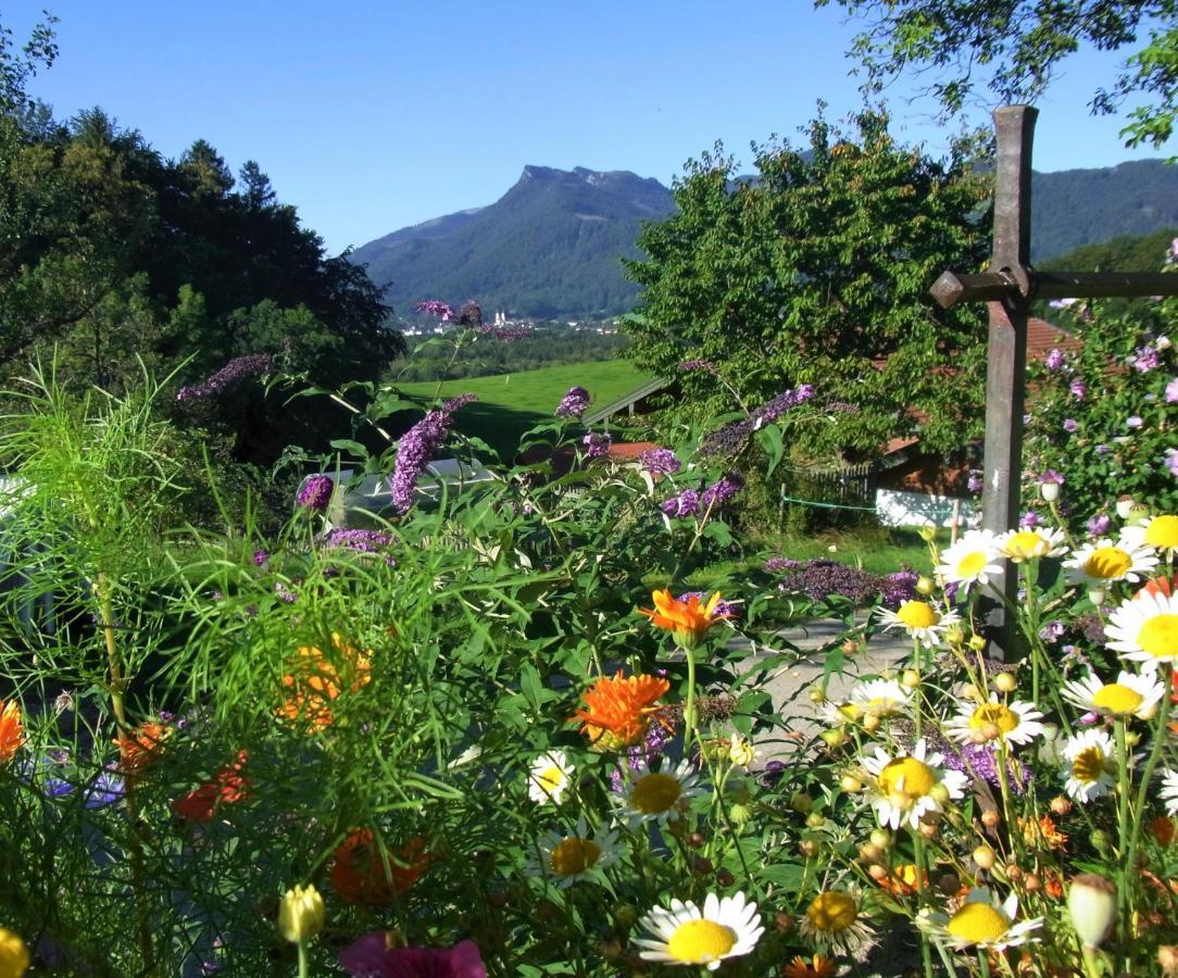 Ferienwohnung Szuahaeusl 아샤우임히엠가우 외부 사진